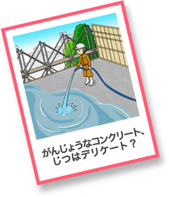 がんじょうなコンクリート、じつはデリケート？