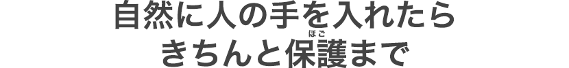 自然に人の手を入れたらきちんと保護（ほご）まで