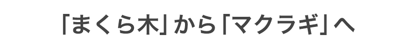 「まくら木」から「マクラギ」へ